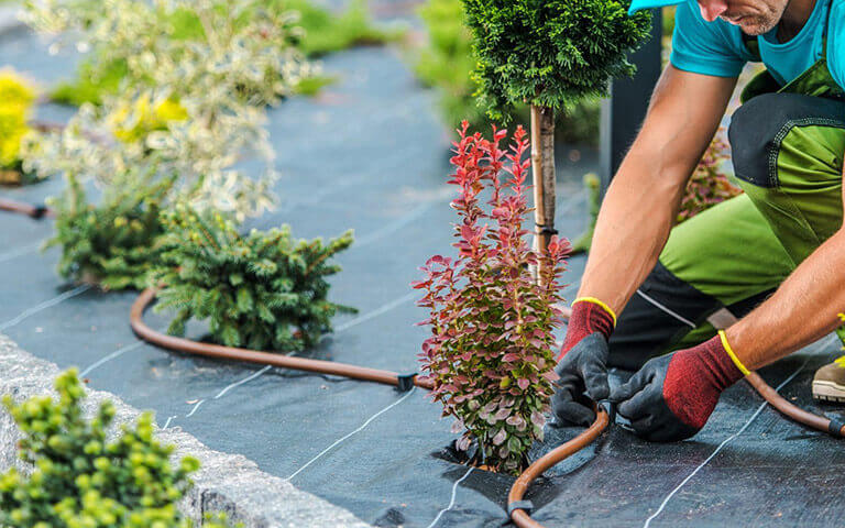 Personnel des espaces verts en action